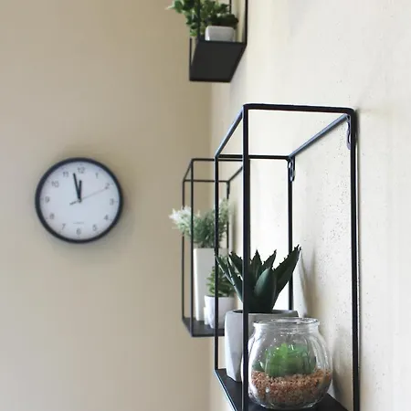 2v1 - Myslym Shyri * Tirana