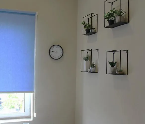 2v1 - Myslym Shyri * 地拉那